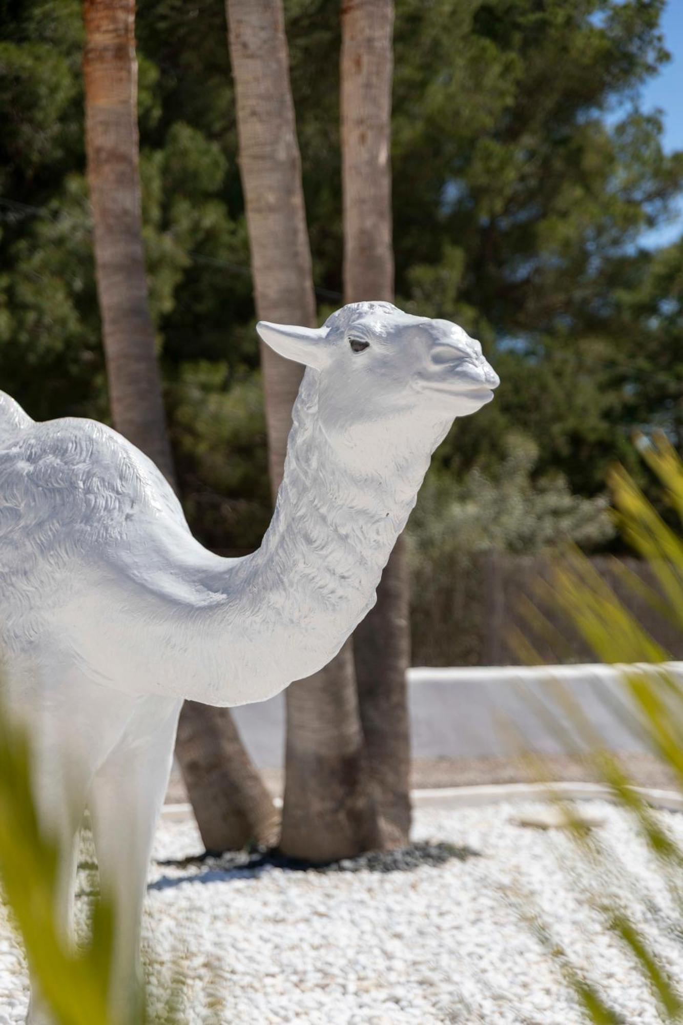 Villa Nivaria Sant Jordi de ses Salines ภายนอก รูปภาพ